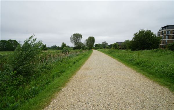 Walthamstow Marshes (30/04/2018)
