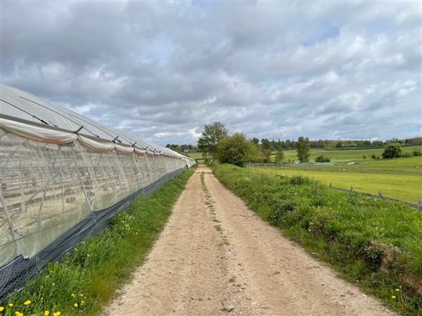 Honeybee Farm (01/05/2023 - Credits: submitted by: Jo Thompson)