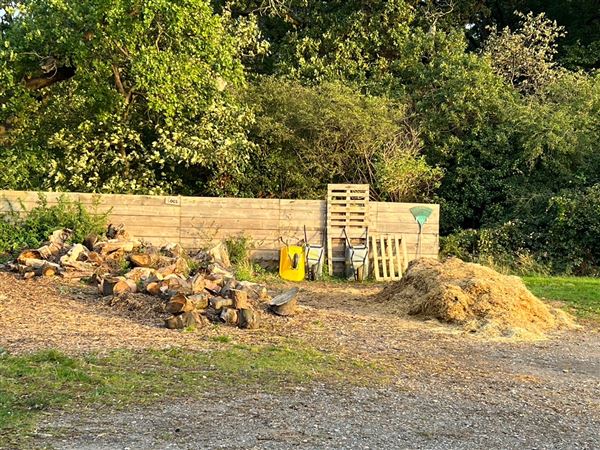 Grange Lane Allotments (01/09/2023 - Credits: submitted by: Tyrrell  Evans)