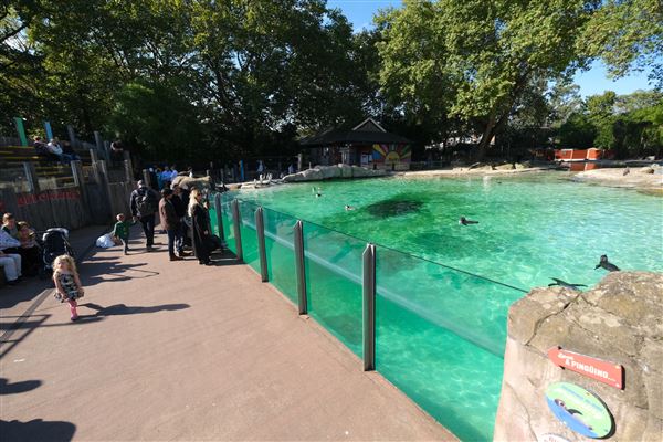 London Zoo (04/10/2024)