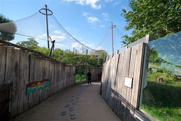 London Zoo (04/10/2024)