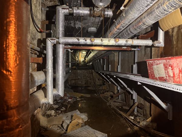 Barking Town Hall - Basement (17/01/2025)