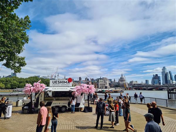 Observation Point on South Bank Riverside Walkway (28/02/2025)