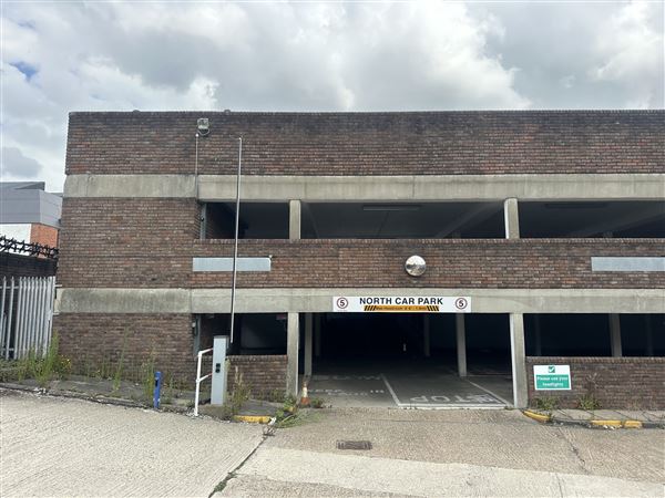 Bexleyheath Multi-Site (13/11/2025 - Credits: submitted by: Liz Charlton)