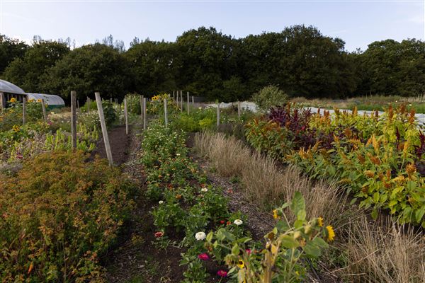 Soul Farm (25/03/2026 - Credits: submitted by: Jo Thompson)