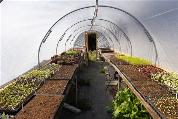 Soul Farm (25/03/2026 - Credits: submitted by: Jo Thompson)