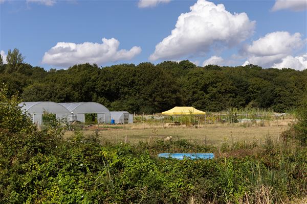 Soul Farm (25/03/2026 - Credits: submitted by: Jo Thompson)