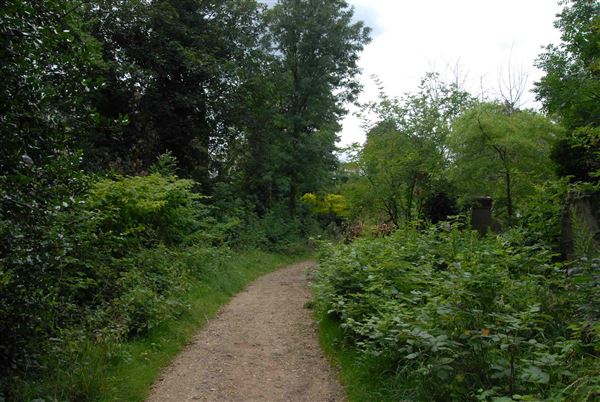 Abney Park Cemetery (01/05/2019)