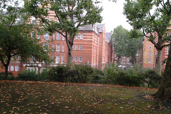 Arnold Circus (01/05/2019)