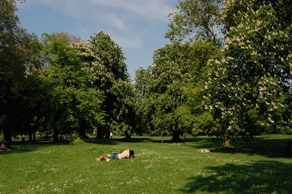 Regent's Park (01/05/2019)