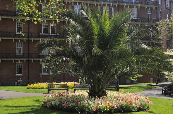 Mount Street Gardens (01/05/2019)