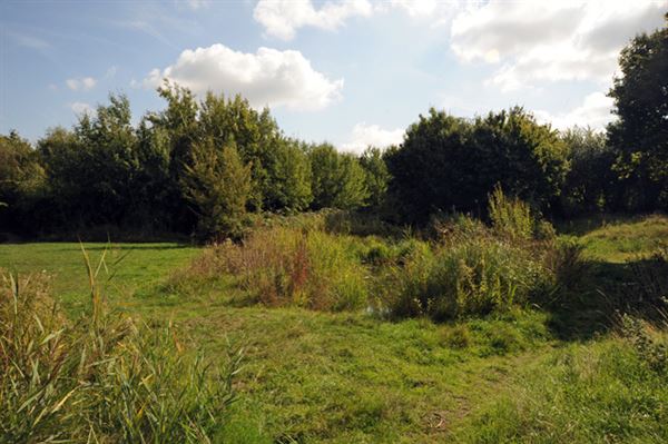 Stave Hill Ecological Park (01/05/2019)
