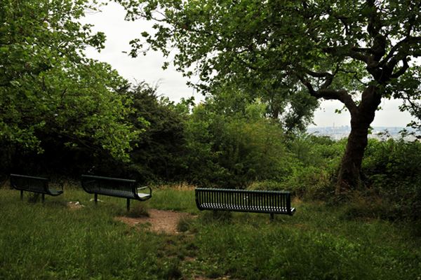 One Tree Hill, Honor Oak Park (01/05/2019)