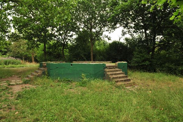 One Tree Hill, Honor Oak Park (01/05/2019)