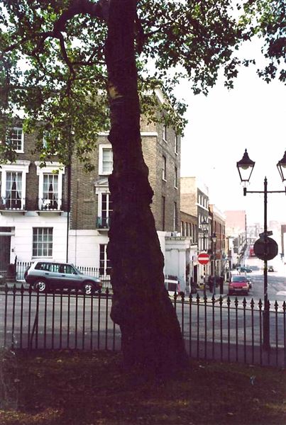 Percy Circus (01/05/2019)
