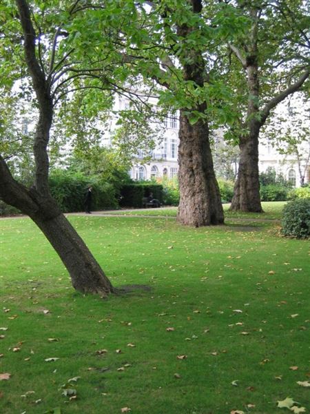 St James's Square (01/05/2019)