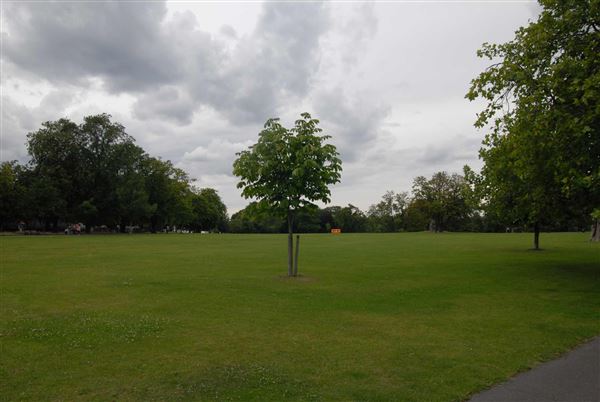 Clissold Park (01/05/2019)