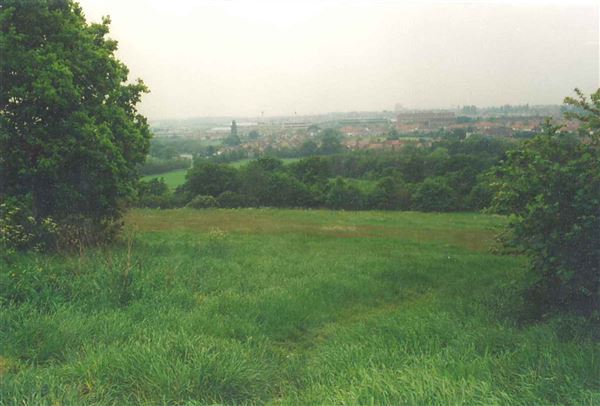 Horsenden Hill Park (01/05/2019)