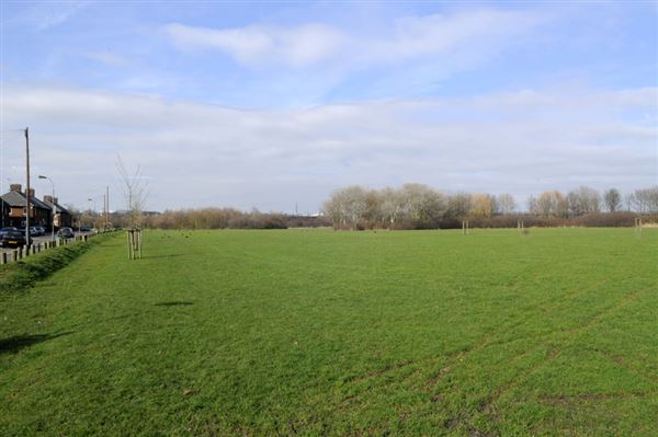 Wormwood Scrubs Open Space (01/05/2019)