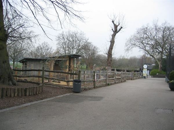 London Zoo (01/05/2019)