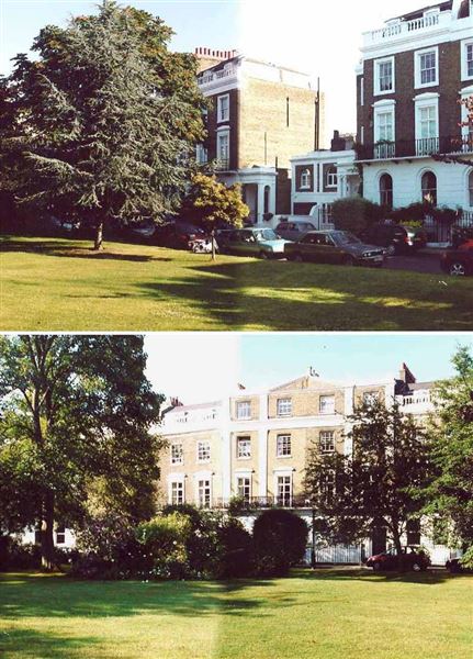 Crescent Grove (01/05/2019)