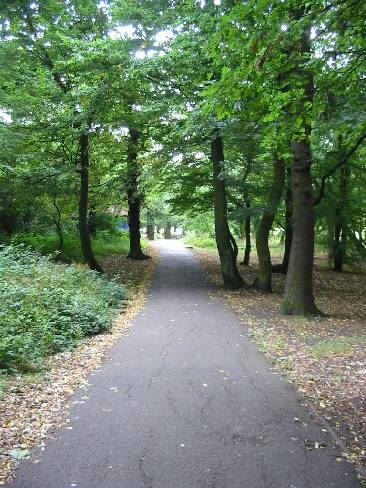 Cherry Tree Wood (01/05/2019)
