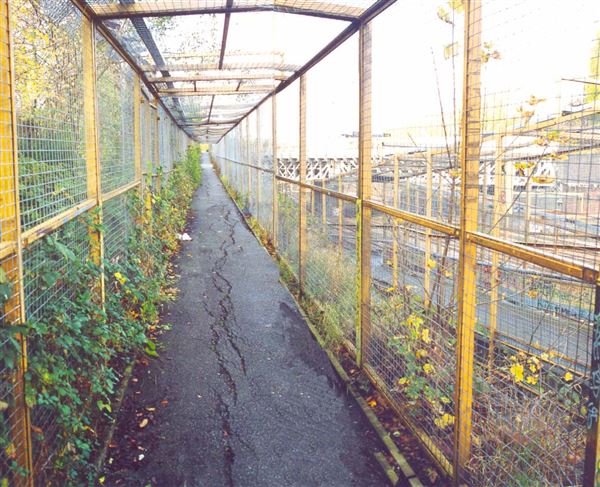 Wayne Kirkum Way (01/05/2019)