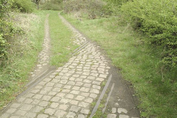 Railway Fields Nature Reserve (01/05/2019)