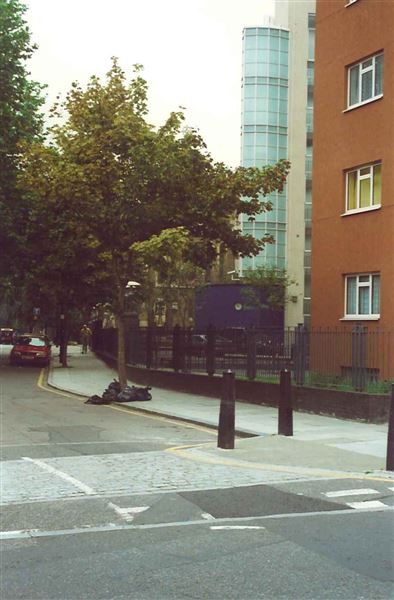 Judd Street (01/05/2019)