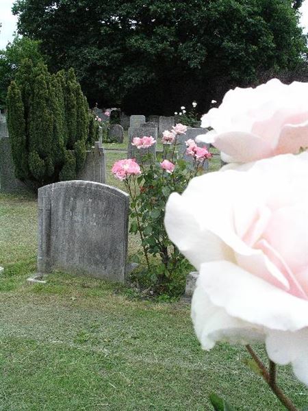 Old Southgate Cemetery (01/05/2019)