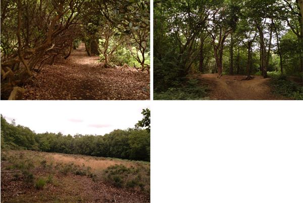Petts Wood Parks (01/05/2019)
