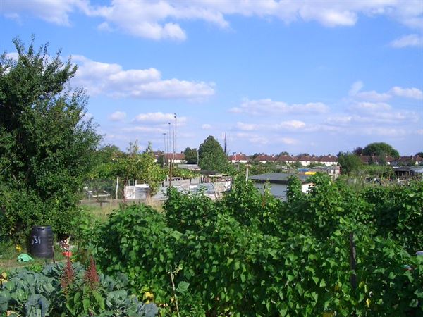 White Hart Lane Allotments (01/05/2019)