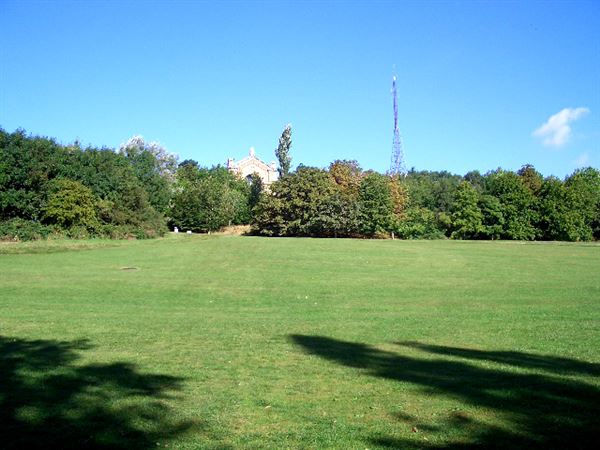 Alexandra Park (01/05/2019)