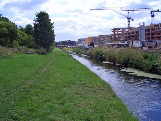 Cross Lane (01/05/2019)