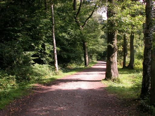 Bayhurst Wood Country Park (01/05/2019)