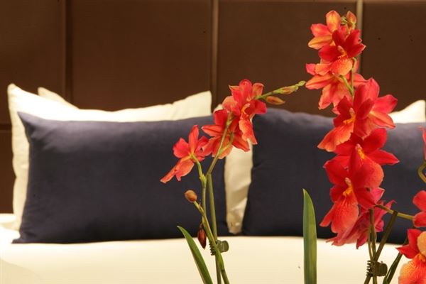 Millennium & Copthorne Hotels at Chelsea Football Club (01/05/2019)