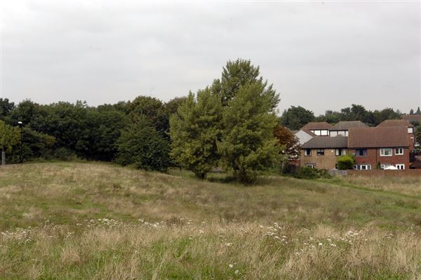 Beckton District Park (01/05/2019)