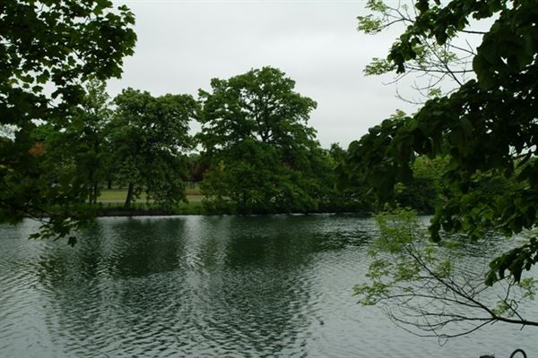 Valentines Park (01/05/2019)