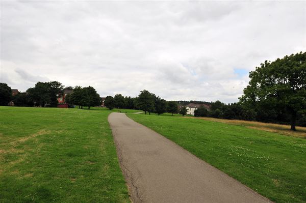 Blythe Hill Fields (01/05/2019)