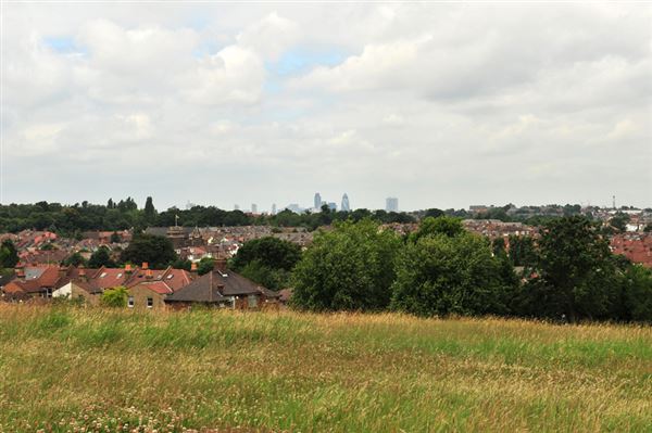 Blythe Hill Fields (01/05/2019)