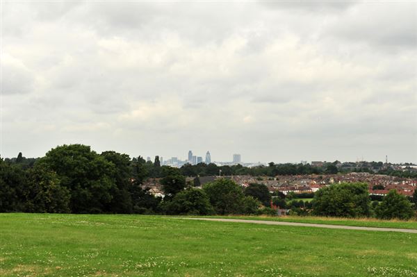 Blythe Hill Fields (01/05/2019)