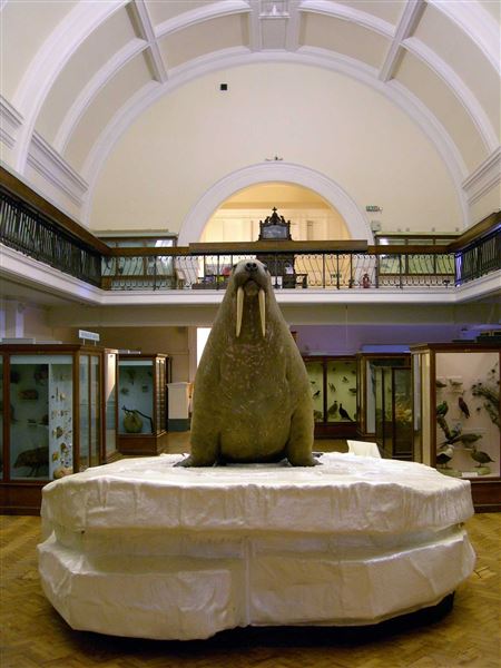 Horniman Museum and Gardens (01/05/2019)
