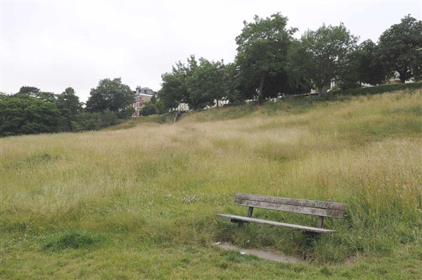 The Terrace Field (01/05/2019)