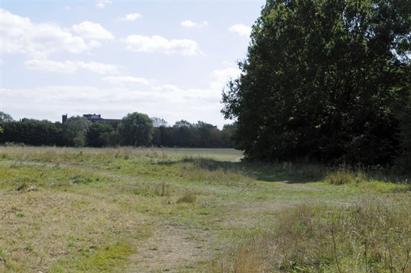 Barnes Common (01/05/2019)