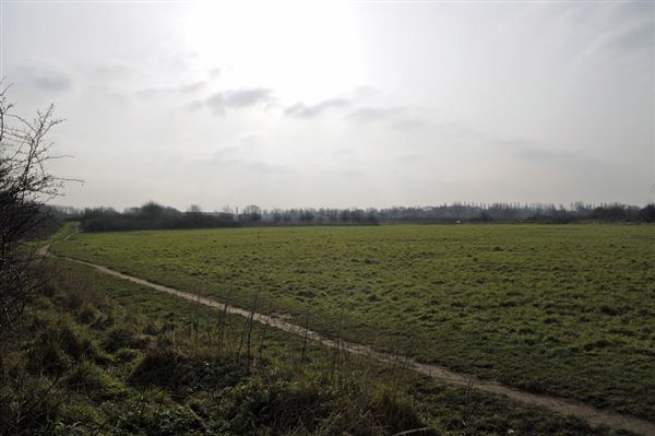 Elthorne Park (01/05/2019)