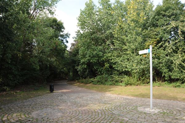 Russia Dock Woodland (01/05/2019)