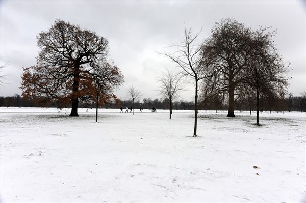 Kensington Gardens in the snow (01/05/2019)