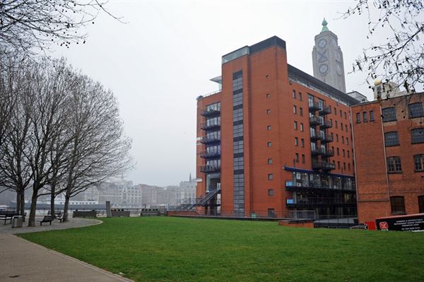 Bernie Spain Gardens (01/05/2019)