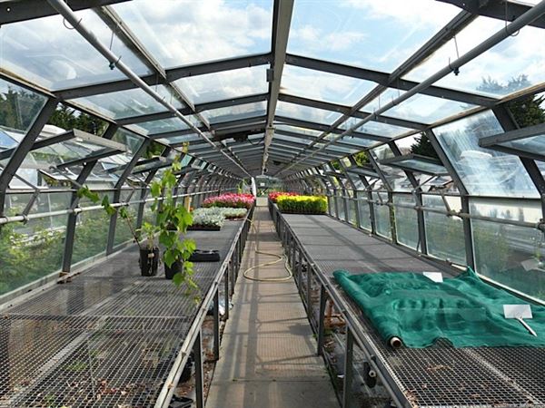 Wolves Lane Horticultural Nursery (01/05/2019)