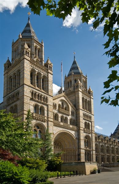 Natural History Museum (01/05/2019)